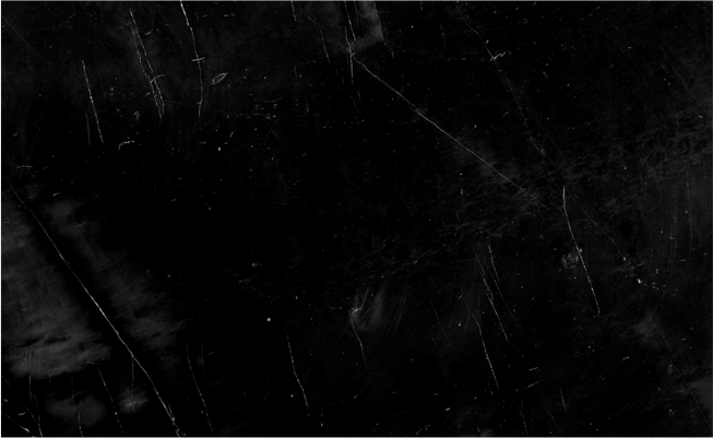 BELGIUM BLACK